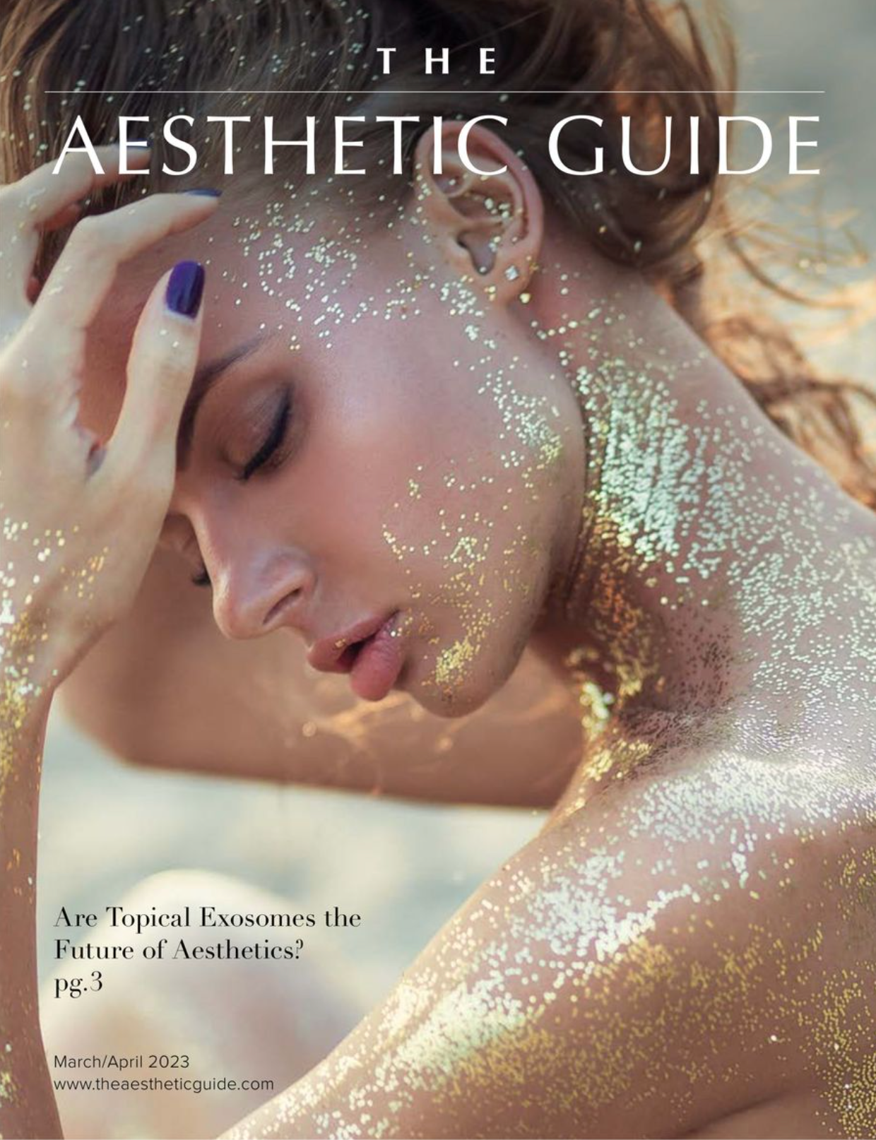 The Aesthetic Guide