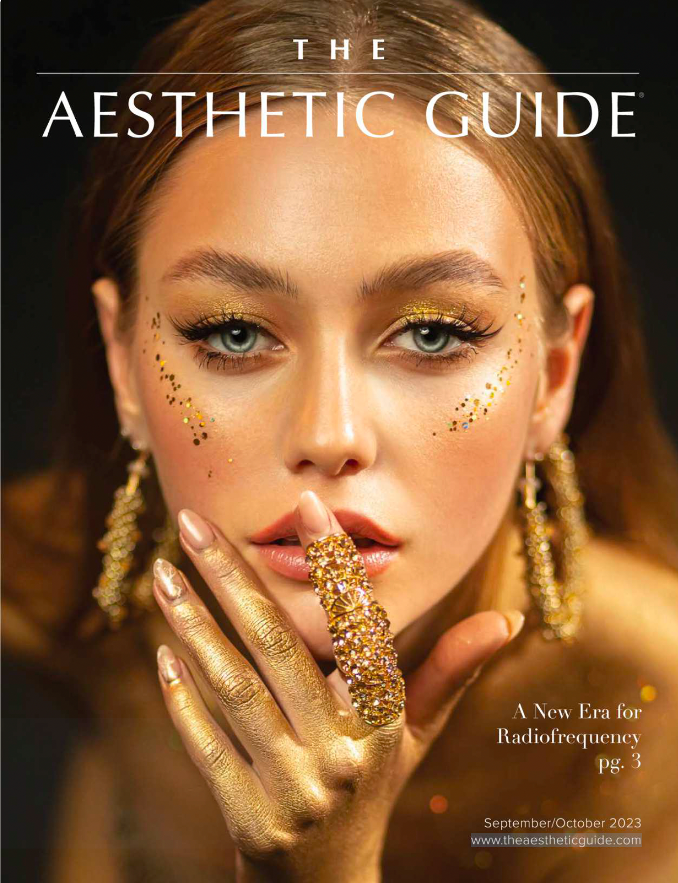 The Aesthetic Guide