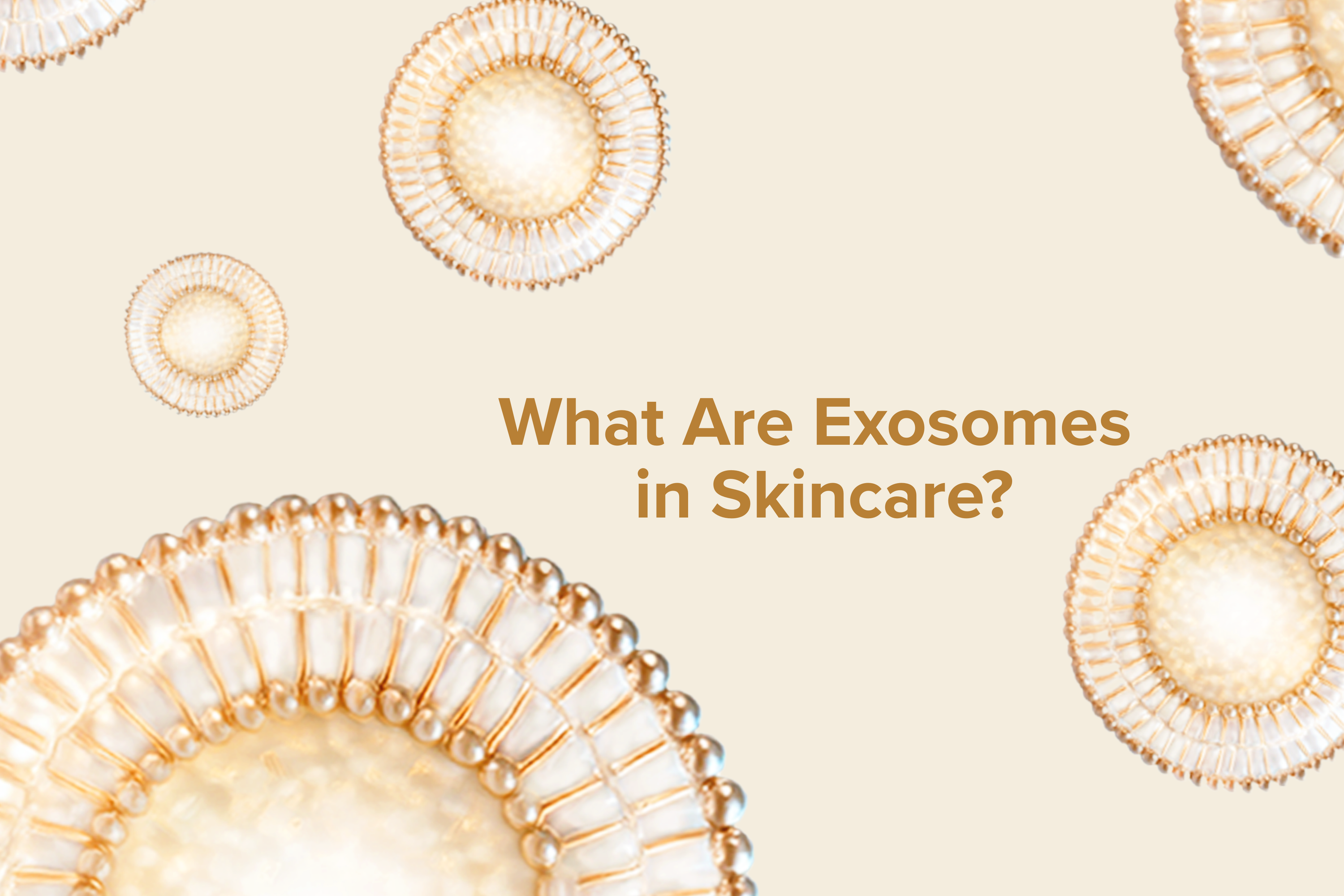 What Are Exosomes in Skincare?