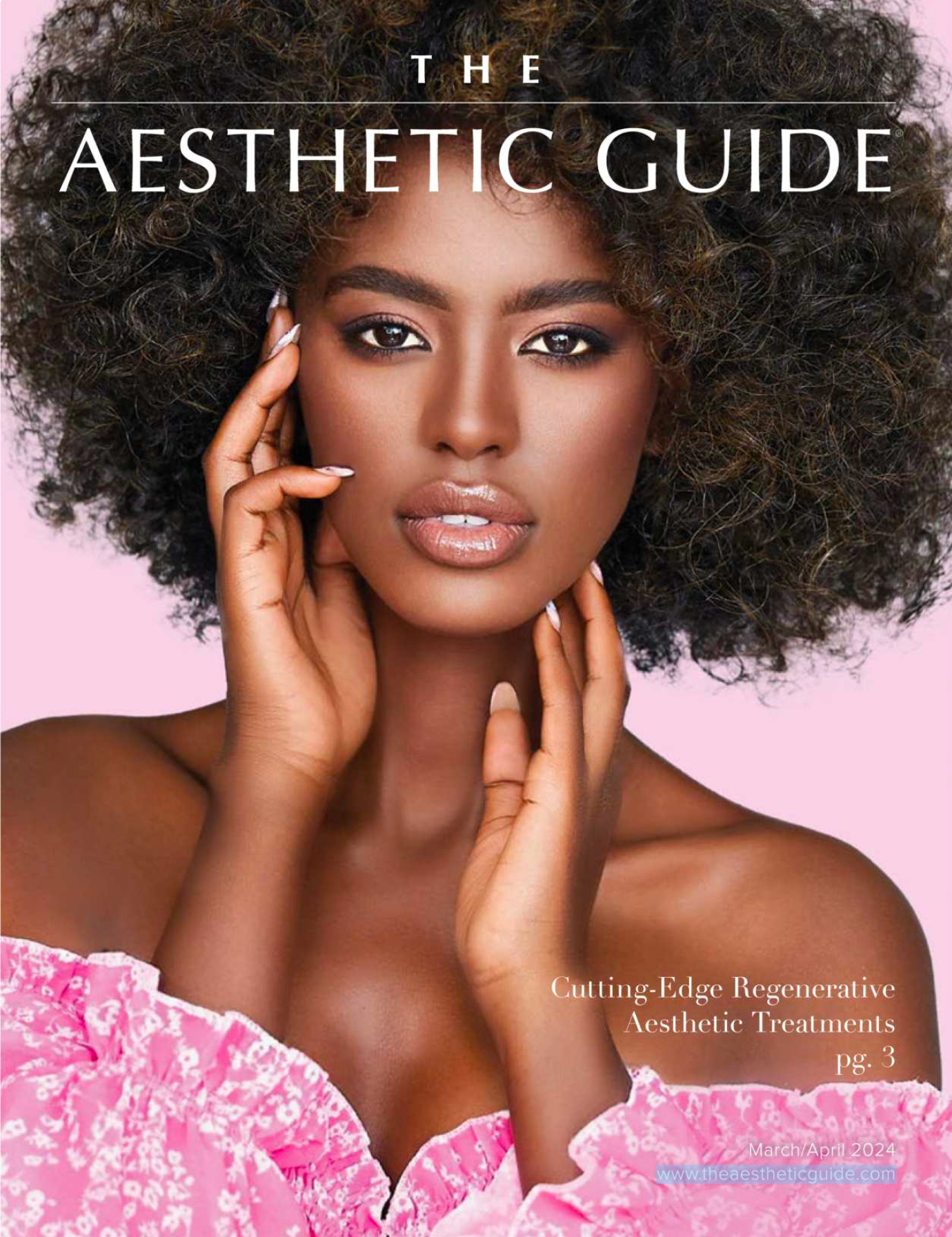 The Aesthetic Guide